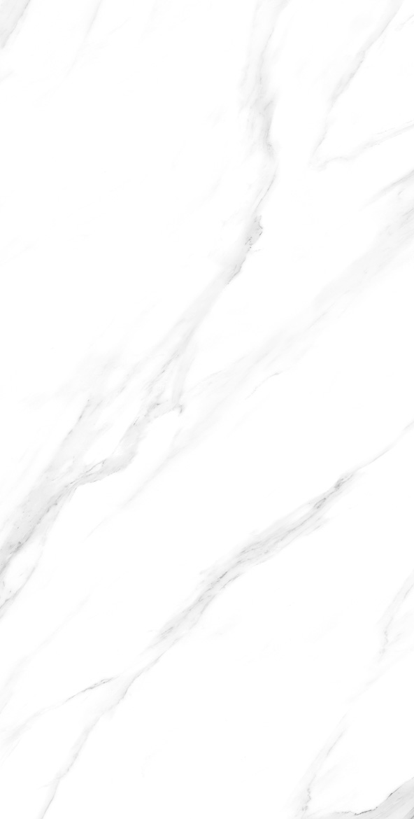 ARTIC BLANC